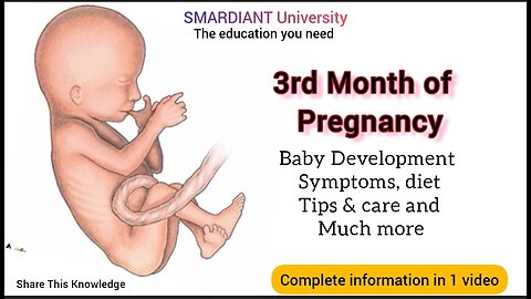 Your baby's development in 3rd month of pregnancy is. What to expect? Complete knowledge in 1 video