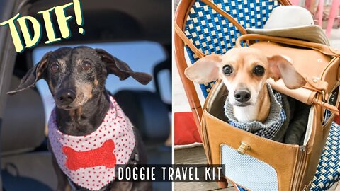 Must Haves for Your DIY Doggie Travel Kit