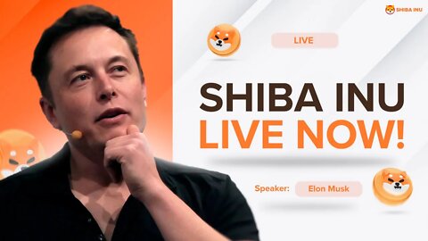 Shiba Inu: Elon Musk & SHIB Holders predict $0.0015 per SHIB | Cryptocurrency NEWS