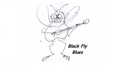 Black Fly Blues (2024)