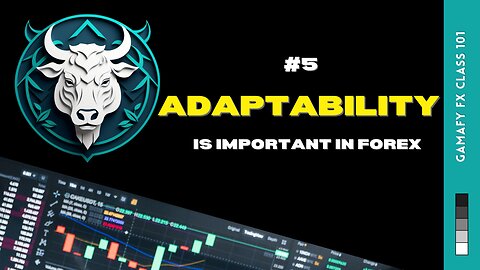 5 main reasons why adaptability is important to a trader in forex | Class 101