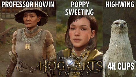 First Beasts Class, Meeting Professor Howin, Poppy Sweeting & Highwing | Hogwarts Legacy 4K Clips