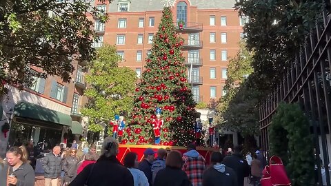 Sights and Sounds of “Miracle on Market Street” Christmas Charleston, SC