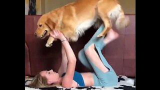 Un chien et sa maîtresse s'entraînent au yoga