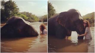 Esperienza unica: fare un bagno con un elefante