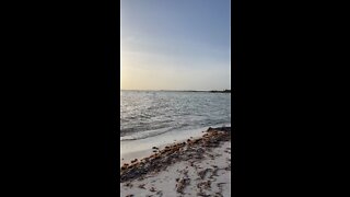 Livestream Highlight - Motorized Parachute over the Gulf of Mexico at Sunset