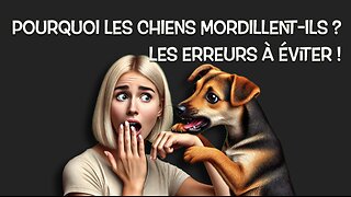 Comment arrêter mon chien de mordre ?