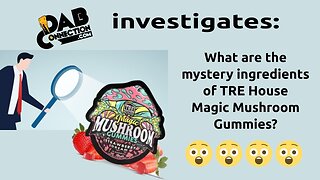 DC Investigates TRE House Magic Mushroom Gummies