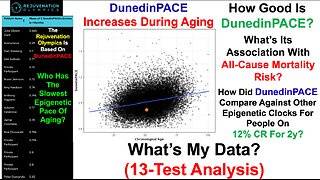 Attempting To Slow The Epigenetic Pace Of Aging (13-Test Analysis)