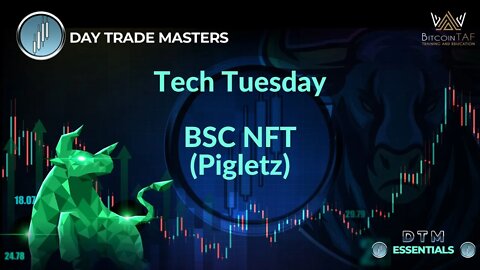 Tech Tuesday - BSC NFT Pigletz