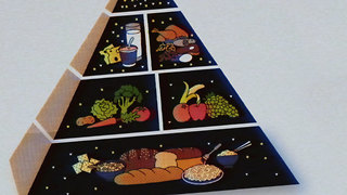 The Terrible Truth Behind The Food Pyramid