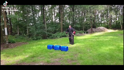 KNPV dog training