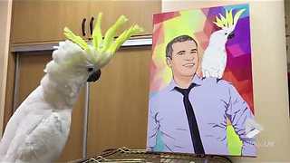 Parrot admires its portrait with owner