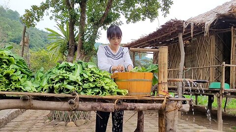 Harvest vegetables, make sauerkraut Live with nature