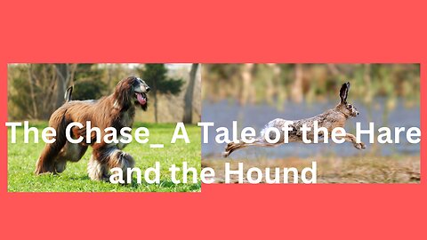 The Chase_ A Tale of the Hare and the Hound