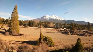 Amtrak Coast Starlight Mt. Shasta(2)