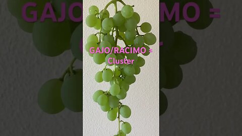 Learn the word for cluster of fruit in Spanish #gajo #learning