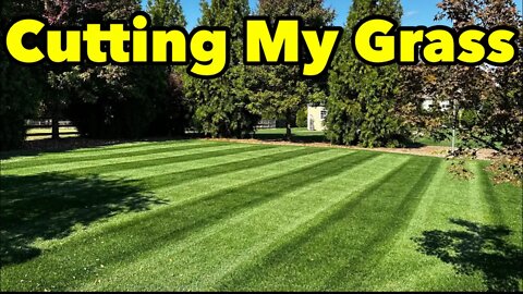 Peaceful and Relaxing Mower Sounds Mowing The Lawn Real Time