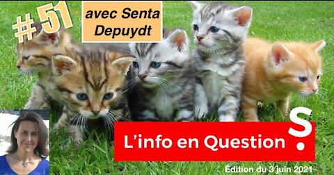 INFO en QuestionS #51 – LIVE avec Senta Depuydt – Jeudi 3 juin 2021
