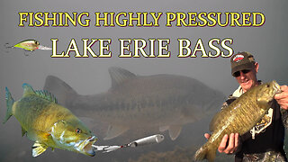 Bass Fishing Lake Erie (Fishing for Pressured Smallmouth and Largemouth Bass)