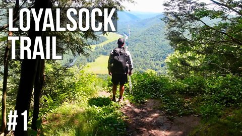 Loyalsock Trail Thru Hike 2022 Part 1 - Easy Relaxing Day