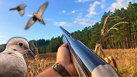 Georgia Dove Season Opener 2023 {3 Days after a Hurricane!}