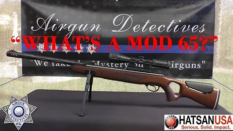 "New" Hatsan Mod 65 "Full Review" by Airgun Detectives