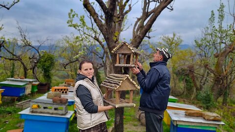 Cooking Delicious Food for Iftar and Building a Stunning Bird House. Country Life Vlog!