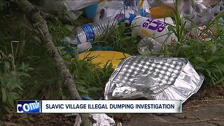Constant struggle with blight, illegal dumping leaves neighborhood weary