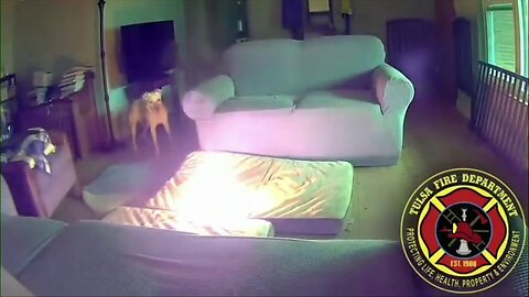 Oklahoma Dog Accidentally Starts House Fire After Chewing On Battery