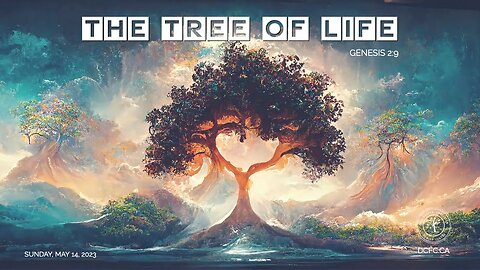 The Tree of Life | May 14 2023 | Grace Ellis