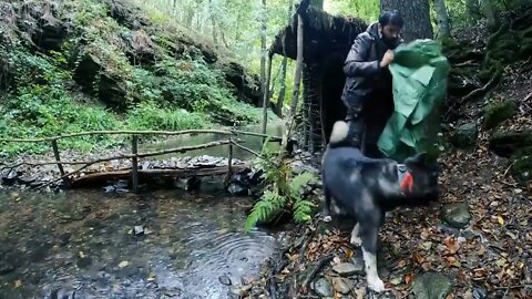 Camping in the rain with my dog *8