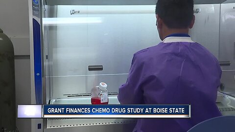 BSU Asst. Professor awarded $50K to study negative side effects of highly effective chemo drug