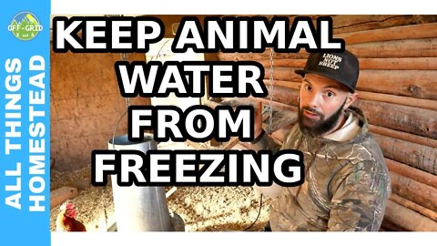 Keeping Animal Water From Freezing - Prepping Homestead For Winter // Homestead Life