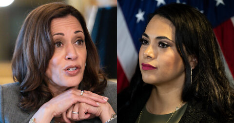 Flores Has Three Words in Response to VP Harris Saying There's 'Progress' at Southern Border