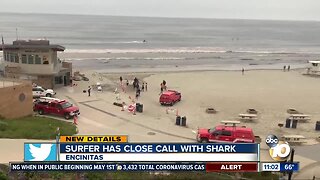 Surfer has close call with shark