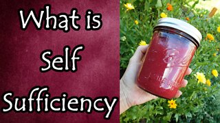 What is Self Sufficiency