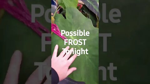 Frost... Already?