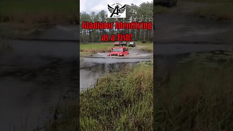 Jeep Gladiator Taking a Swim in Hood-Deep Water! #shorts #jeep