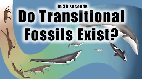Do Transitional Fossils Exist?