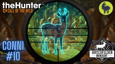 Conni #10 Hirschfelden | theHunter: Call of the Wild (PS5 4K)