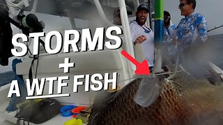 1st fishing trip on the NEW Million Dollar boat {Catch N Cook}