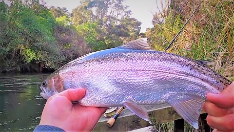 Beautiful Tongariro River - Fishing - New Zealand