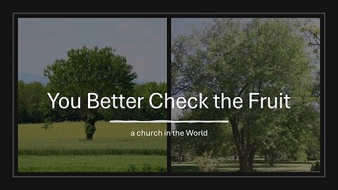 You Better Check the Fruit -- Matthew 12:33 - 37