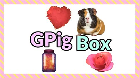 GPig Box February 2022 💖