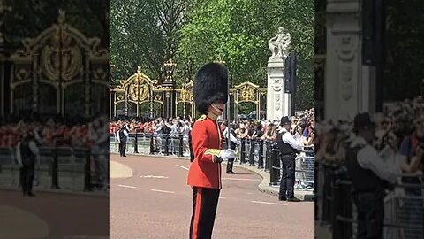 trooping the colour #buckinghampalace 7
