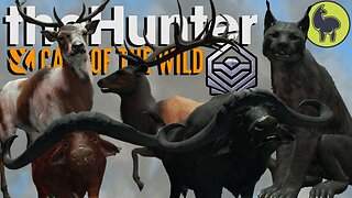 Diamond & Rare Montage #12 | theHunter: Call of the Wild (PS5 4K 60FPS)