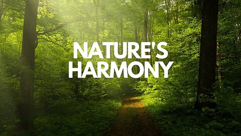 Unveiling the Secrets of Nature's Harmony: Relaxation Music and Body Wellness #youtube