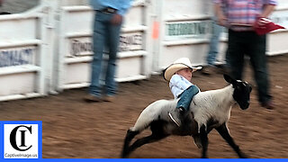 Mutton Bustin' 🦙 2021 Saint's Roost Ranch Rodeo | Saturday