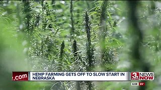 Reporter Debrief - Hemp Farming in Nebraska